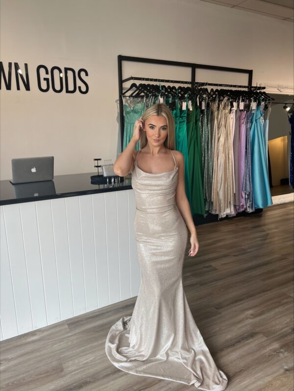 Ashleigh Champagne Gown